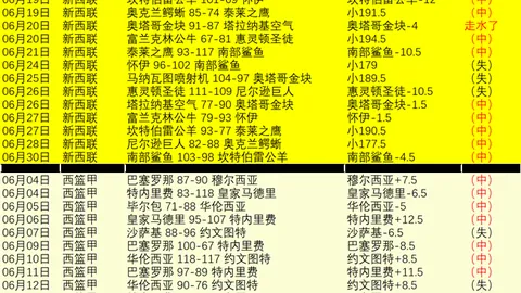 2026世界杯预热：日本球迷翘首以盼挑战巴西，胜利即迈向冠军之路